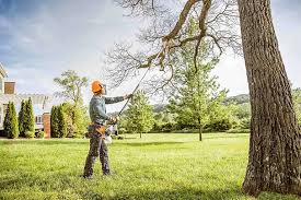 Best Tree Cabling and Bracing  in Moonachie, NJ