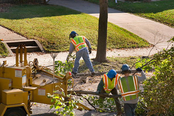 Best Lawn Maintenance Plans  in Moonachie, NJ